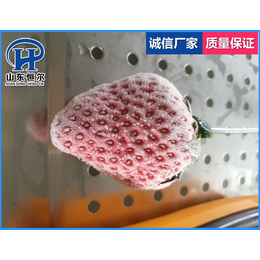 山东恒尔(图)|浆果速冻机参数|台湾浆果速冻机