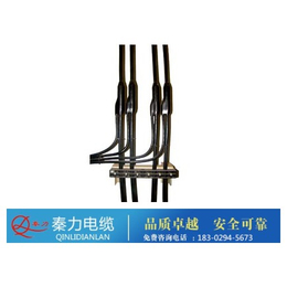 预分支电缆生产、西安电缆厂(在线咨询)、汉中预分支电缆