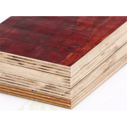 优逸木业(图)|建筑红模板厂|建筑红模板