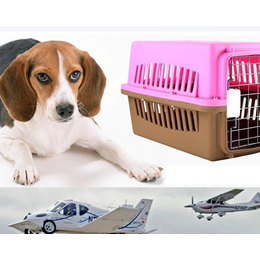 宠物托运公司哪家便宜、宠物托运、山西天地通航空(查看)