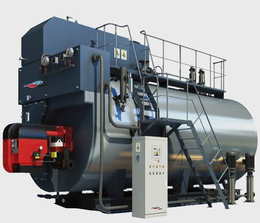 百阳丰机械质量保障-环保冷凝燃气蒸汽锅炉厂