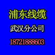 上海浦东电线电缆（集团）有限公司