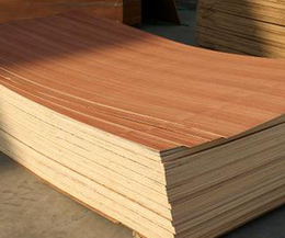 木模板厂-木模板-源林木业(查看)