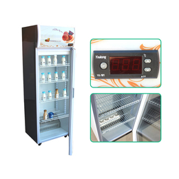 保定电加热柜-盛世凯迪制冷设备加工-电加热柜品牌