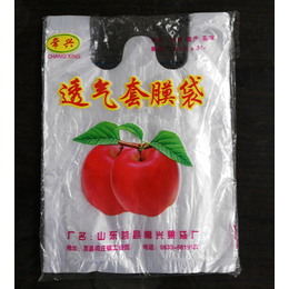 塑料膜苹果套袋、常兴果袋(在线咨询)、苹果套袋