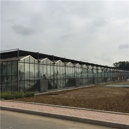 玻璃温室-合肥玻璃温室建设-滁州玻璃温室