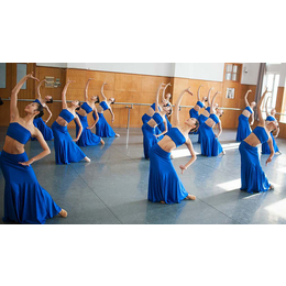 民族舞培训学校,菲士舞蹈(在线咨询),岳阳民族舞