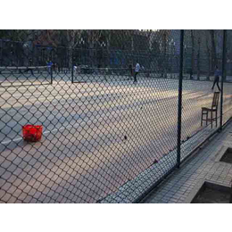 威友丝网|宁夏体育球场围栏|体育球场围栏安装