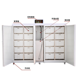石家庄大型豆芽机生产视频 多功能豆芽机批发报价 