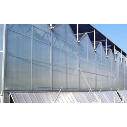 阳光板温室大棚|阳光板温室|齐鑫温室园艺(多图)