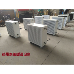NF6ZD电热暖风机、九江暖风机、泰莱