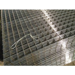 润标丝网(图)、热镀锌电焊网、电焊网