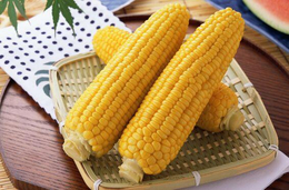 哈尔滨求购玉米-汉光农业有限公司-长年求购玉米
