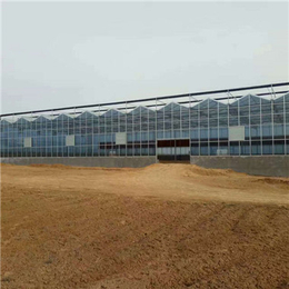 金盟玻璃温室建设(图)-宝鸡玻璃温室大棚-玻璃温室
