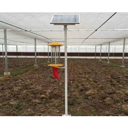 果园太阳能杀虫灯|安徽普烁光电(在线咨询)|合肥太阳能杀虫灯