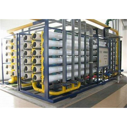 大型食品厂纯净水设备  RO反渗透设备* 