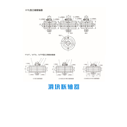 广东凸缘联轴器型号、孚克传动联轴器