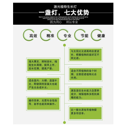 黄南补光灯、蔬菜补光灯、星丰科技(推荐商家)