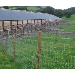 养殖护栏网兽畜围栏养散鸡围栏圈地养殖网厂家