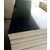 齐远木业-清水建筑模板生产厂家-松木清水建筑模板生产厂家缩略图1