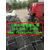长春车库顶板透水板绿化排水板施工-低价****缩略图4