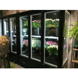 达硕冷冻设备生产、广元柜式鲜花柜、柜式鲜花柜品牌