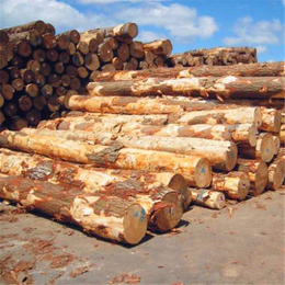恒豪木业(在线咨询)|建筑方木|建筑方木规格