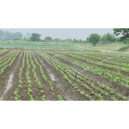 农业喷灌系统设备性能、武汉农业喷灌系统、欣农科技
