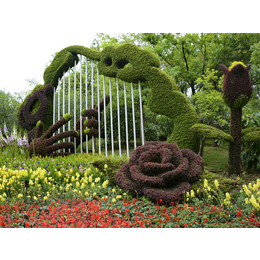立体花坛设计 五色草造型 绿雕造型制作 五色草种苗批发