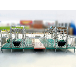 恒泰农牧设备包您满意(图)|多功能母猪产床|河南母猪产床