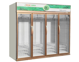 西宁便利店饮料展示柜-达硕冷冻设备生产-便利店饮料展示柜型号