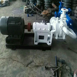 杭州65SYA80-45浮选机耐腐洗煤用泵-源润水泵