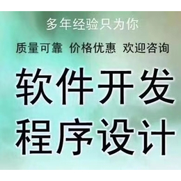 大连级差太阳线*系统开发公司