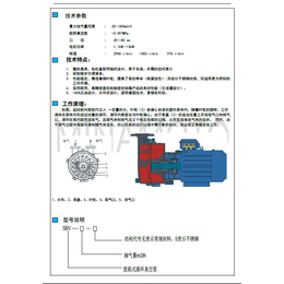 源立水泵厂家供应11KW水环式智能真空泵