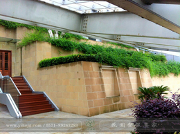 杭州屋顶花园景观设计-一禾园林-杭州屋顶花园景观设计价格