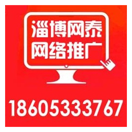 淄博网络推广外包、淄博网泰科技、淄川网络推广