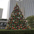 大型圣诞树户外圣诞树LED圣诞树出租出售缩略图2