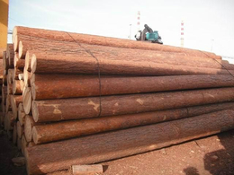 苏州进口原木木材清关价格是多少