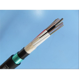 光缆规格-远洋电线电缆(在线咨询)-光缆