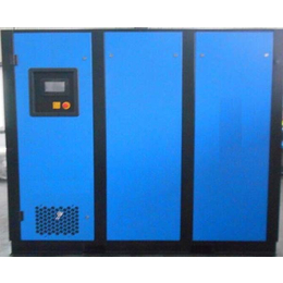 合肥鼎瑞空压机(在线咨询)|安徽空压机|永磁变频空压机价钱