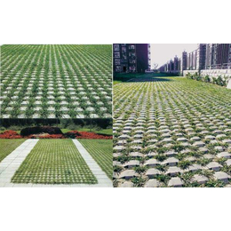 草坪砖价格|草坪砖|长旺建材公司