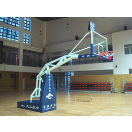 飞*育设施(图)、标准篮球架价格、篮球架