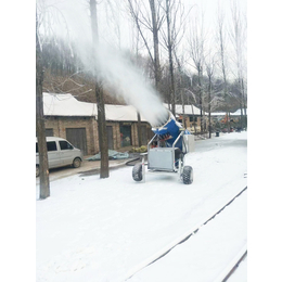 河北迪特网红造雪机*滑雪造雪机