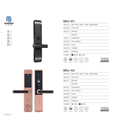 多功能智能锁-迈瑞嘉实力厂家-多功能智能锁生意