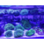 济南高新齐鲁软件园海水缸清洗缩略图1