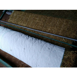 杭州厂家供应边坡绿化植物纤维毯