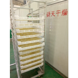 食品干燥箱供应-临朐舜天干燥-食品干燥箱