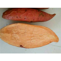 地瓜哪里的甜-禾田薯业质量可靠-湘潭地瓜