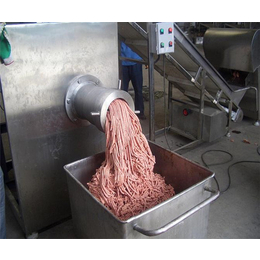 大型冻肉绞肉机定制、诸城佳利机械(在线咨询)、娄底冻肉绞肉机