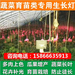 必然科技(图)-植物灯-丽水植物灯